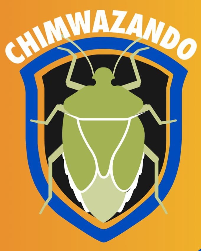 Chimwazanando Logo Chimwazanando Logo